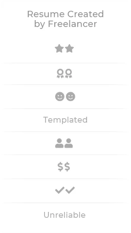 Resume Created By Freelancer